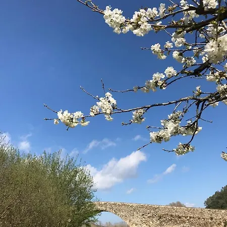 Casa De Pueblo En La Naturaleza